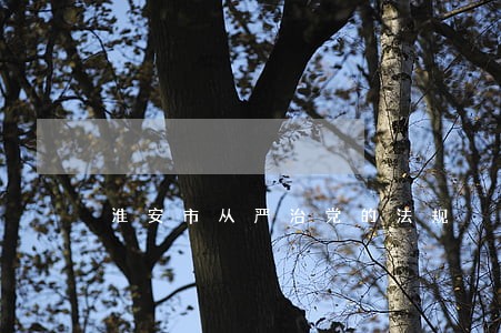 淮安市从严治党的法规
