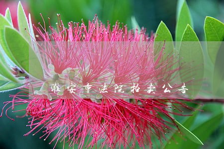 淮安市法院拍卖公告 淮安市法院拍卖公告