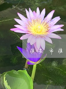淮安市淮阴区淘宝网司法拍卖 淮安市淮阴区淘宝网司法拍卖