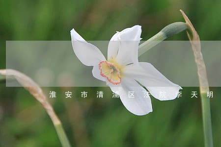 淮安市清浦区法院李天明判决书 淮安市清浦区法院李天明判决书