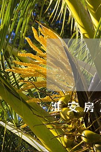 淮安房产纠纷律师推荐 淮安房产纠纷律师推荐