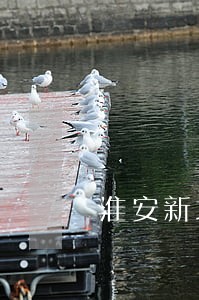淮安新城法院在那里