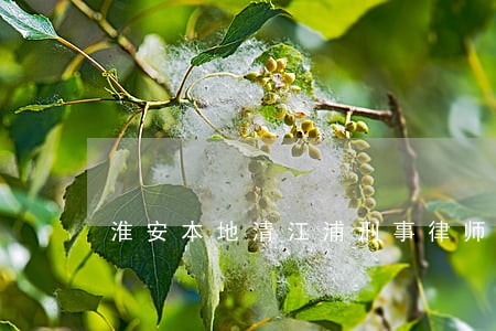 淮安本地清江浦刑事律师服务 淮安本地清江浦刑事律师服务