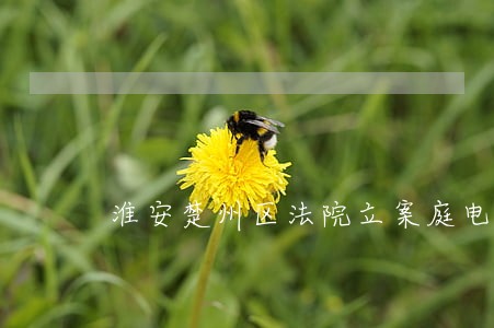 淮安楚州区法院立案庭电话 淮安楚州区法院立案庭电话