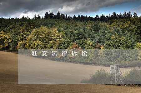 淮安法律诉讼