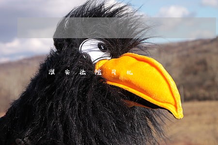淮安法院司机