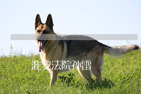 淮安法院孙雷 淮安法院孙雷
