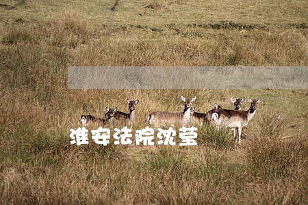 淮安法院沈莹
