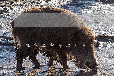 淮安淮安市淮阴区法律法院在哪边 淮安淮安市淮阴区法律法院在哪边