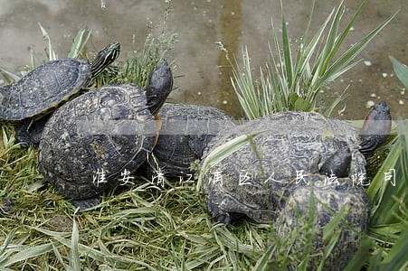 淮安清江浦区人民法院司法拍卖