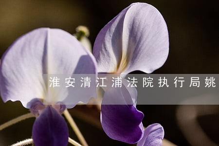 淮安清江浦法院执行局姚局长 淮安清江浦法院执行局姚局长