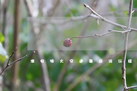 淮安特大交通事故诉讼程序 淮安特大交通事故诉讼程序