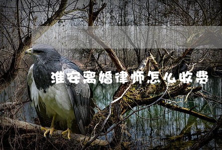 淮安离婚律师怎么收费 淮安离婚律师怎么收费