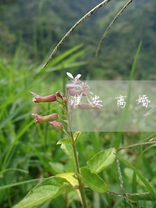 淮安离婚律师怎么选 淮安离婚律师怎么选