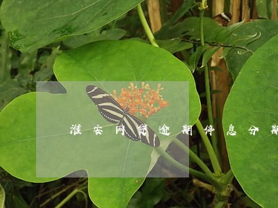 淮安网贷逾期停息分期怎么协商 淮安网贷逾期停息分期怎么协商