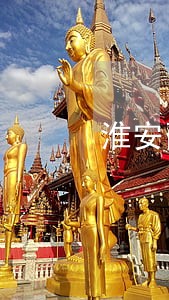 淮安邵明违法