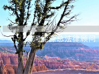 淮河能源总法律顾问 淮河能源总法律顾问