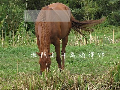 淮阴上诉离婚律师 淮阴上诉离婚律师