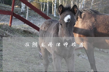 淮阴离婚律师推荐 淮阴离婚律师推荐