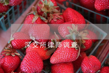 深交所律师调查 深交所律师调查