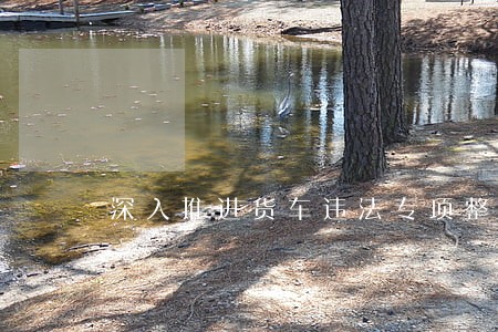 深入推进货车违法专项整治行动