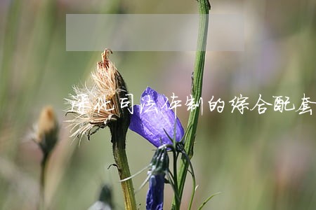 深化司法体制的综合配套改革