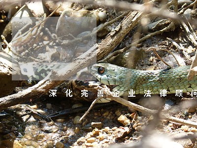 深化完善企业法律顾问制度