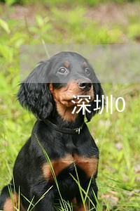 深圳0申报逾期上来就罚3000 深圳0申报逾期上来就罚3000