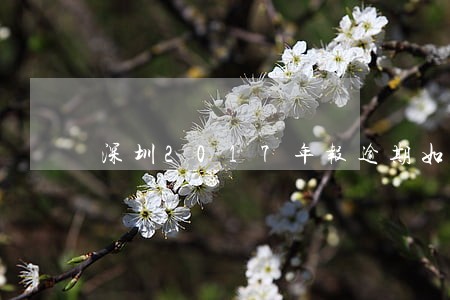 深圳2017年报逾期如何补做 深圳2017年报逾期如何补做