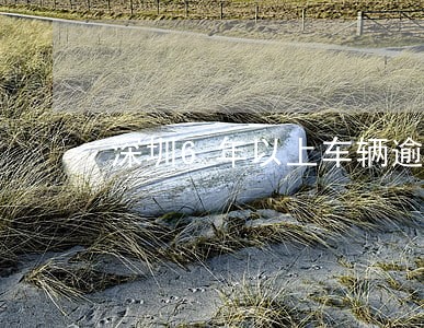 深圳6年以上车辆逾期年审 深圳6年以上车辆逾期年审