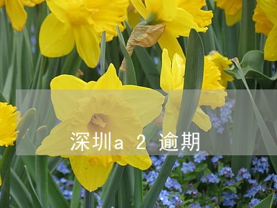 深圳a2逾期 深圳a2逾期