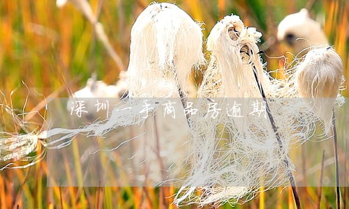 深圳一手商品房逾期