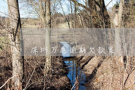 深圳万惠逾期欠款案