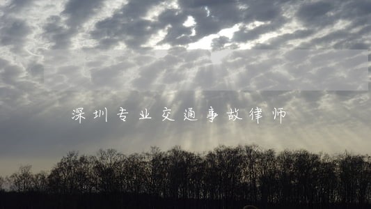 深圳专业交通事故律师 深圳专业交通事故律师