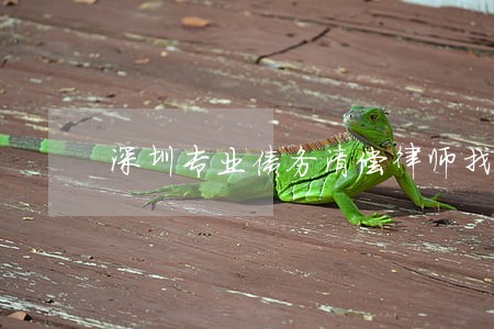 深圳专业债务清偿律师找谁好 深圳专业债务清偿律师找谁好