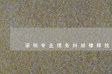 深圳专业债务纠纷律师找谁好 深圳专业债务纠纷律师找谁好