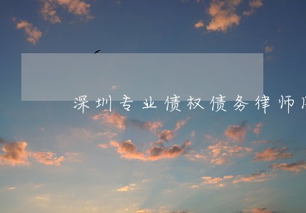 深圳专业债权债务律师图片 深圳专业债权债务律师图片