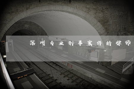 深圳专业刑事案件的律师专业 深圳专业刑事案件的律师专业
