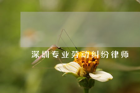 深圳专业劳动纠纷律师 深圳专业劳动纠纷律师