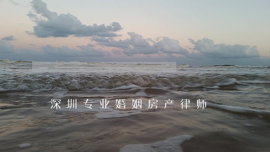 深圳专业婚姻房产律师 深圳专业婚姻房产律师