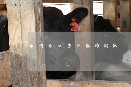深圳专业房产律师团队 深圳专业房产律师团队