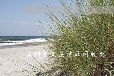 深圳专业法律顾问收费 深圳专业法律顾问收费