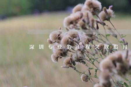 深圳专业的工程欠款追讨律师电话 深圳专业的工程欠款追讨律师电话