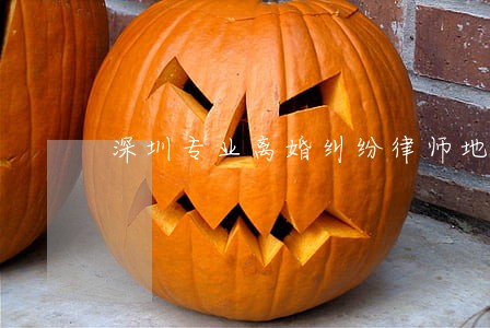 深圳专业离婚纠纷律师地址 深圳专业离婚纠纷律师地址
