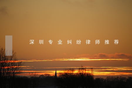 深圳专业纠纷律师推荐