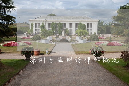 深圳专业纠纷律师概况 深圳专业纠纷律师概况