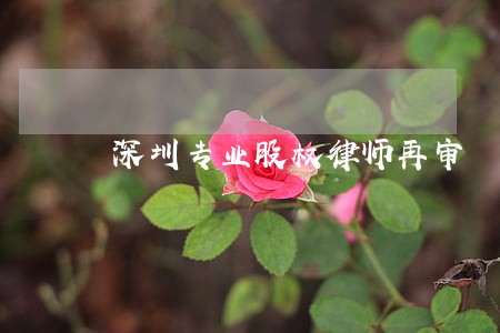 深圳专业股权律师再审 深圳专业股权律师再审