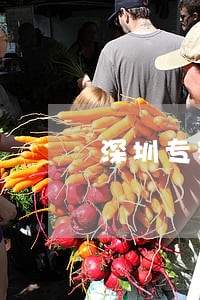 深圳专利律师咨询电话 深圳专利律师咨询电话