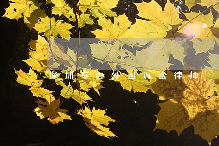 深圳专办外国诉讼律师 深圳专办外国诉讼律师