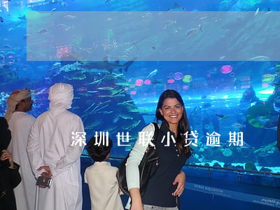 深圳世联小贷逾期 深圳世联小贷逾期